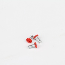 ANSI slotted screws