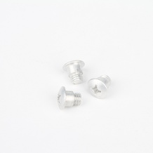 aluminum screw