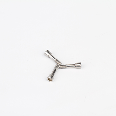 stainless steel hex socket safety screw